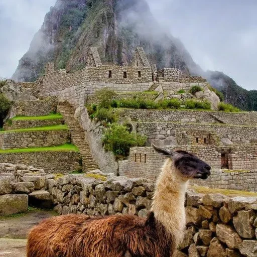 33b81e003cab77e2a04e0b10cff226d6