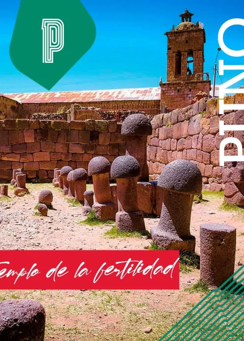 481244369_2181715598951137_6564405252911067421_n