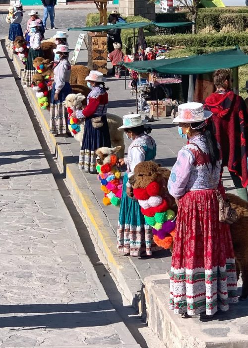 515474165_1167738442037523_9044923427173427205_n