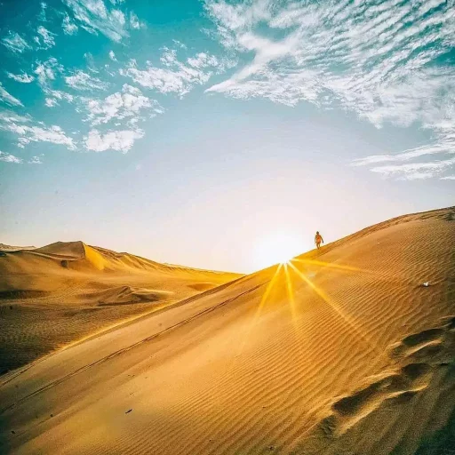 WhatsApp Image 2018-10-22 at 12.37.30 (1)