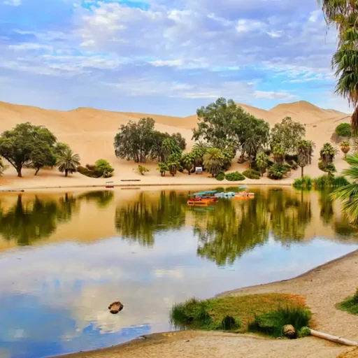 WhatsApp Image 2018-10-23 at 15.28.58 (2)