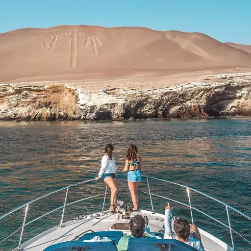 WhatsApp Image 2018-11-16 at 18.13.50 (1)