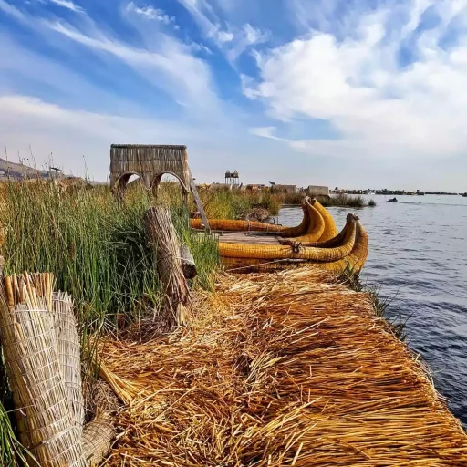 WhatsApp Image 2018-12-27 at 19.05.51