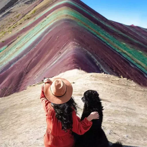 WhatsApp Image 2019-02-16 at 16.14.23