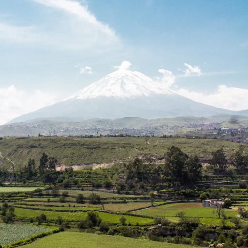 WhatsApp Image 2026-04-01 at 10.10.44 AM