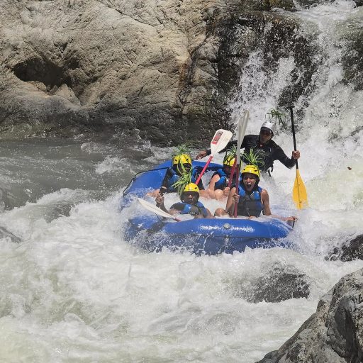 WhatsApp Image 2026-04-01 at 10.10.45 AM (2)