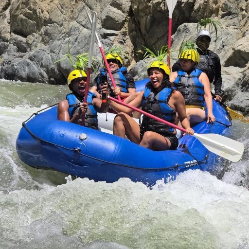 WhatsApp Image 2026-04-01 at 10.10.46 AM