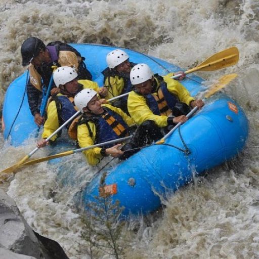 WhatsApp Image 2026-04-01 at 11.42.56 AM (2)