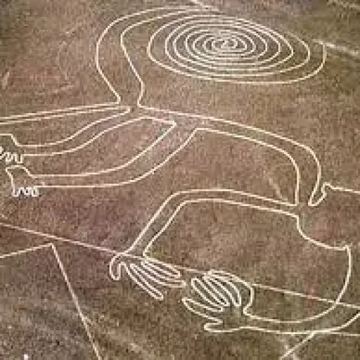 nazca5