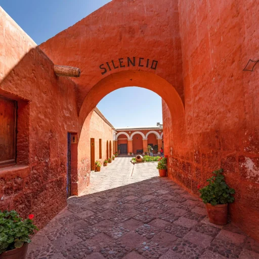 pexels-sbenavides-17043614